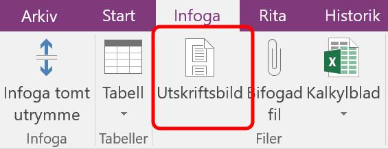 Alla sidor infogas och även Ikon för att aktivera filen. Gör så här: 1. Klicka på menyfliken Infoga (Insert) och därefter knappen Utskriftsbild (File Printout) 2.