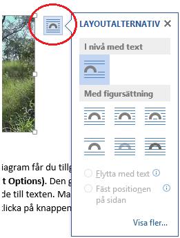 Den gör det enkelt att välja hur bilden ska placeras i förhållande till texten. Markera bilden så visas knappen uppe till höger. Genom att klicka på knappen får du tillgång till de olika alternativen.