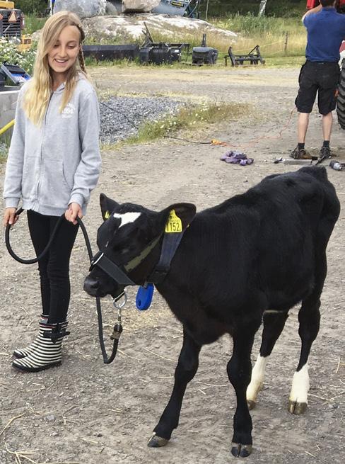 Stockholms UNGDOMSAVDELNING DAGBOK FRÅN SOMMARLÄGER Kul på koläger har det varit i sommar! Tio barn deltog på sommarens koläger på Billinge Gård utanför Norrtälje i mysiga Roslagen.
