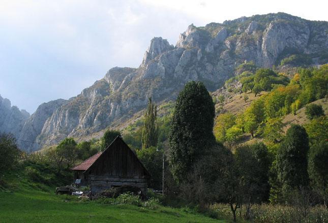 vulkaniska kroppen i hela Europa. Bergssidorna här täcks av bok- och barrskog och ger livsutrymme åt delar av den 5 000 djur starka rumänska björnstammen.