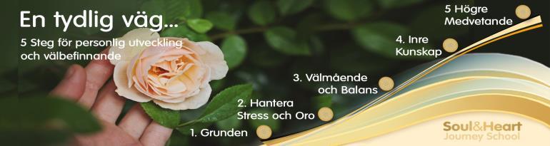 Att bli medlem i Soul & Heart Journey School Du har möjlighet att steg för steg, hitta vägen tillbaka hem - till dig själv.