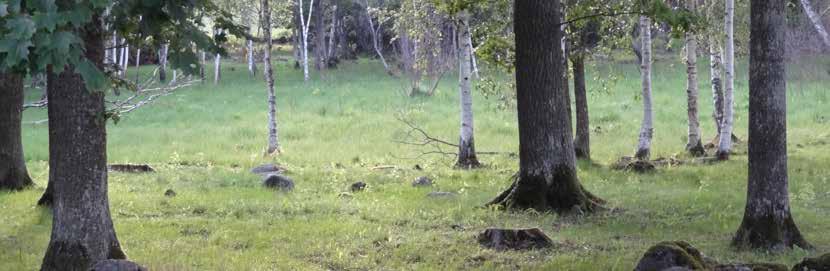 Kurser på landsbygden Eckerö Kontaktperson: Maria Christensen tel. 0457 3421376 maria.christensen@aland.net i Eckerö 4008 Sånglust, sid. 21 5013 Möt vintern i topptrim, sid.