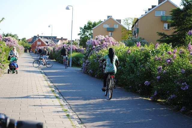 Cyklisten är mer mottaglig för syn- och doftintryck eftersom