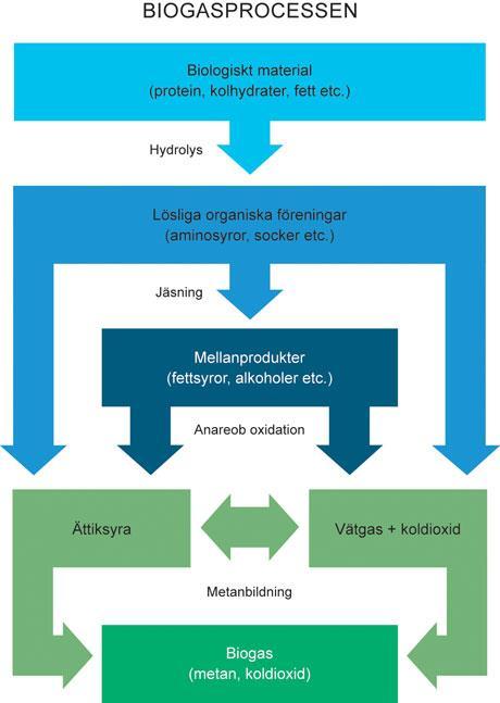 Bakgrund Vad är biogas? Biogas är ett biobränsle i gasform som bildas vid anaerob nedbrytning av organiskt material.