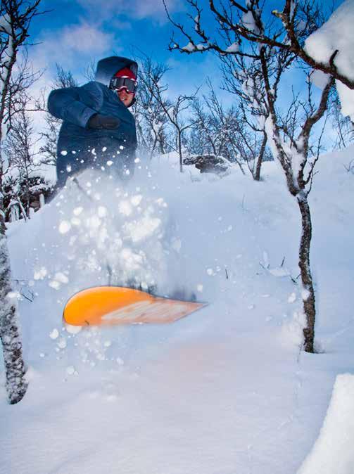 Mer vinter än sommar - Turism, vintersport, friluftsliv och naturen är starka kännetecken Jämtland Härjedalen har sammantaget en stark position bland den svenska allmänheten, men utmärker sig allra