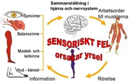 Yrsel När informationen till