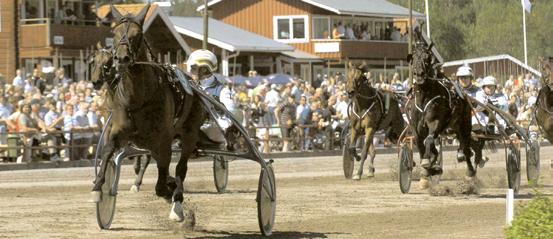 Midsommartrav med Breeders Crown, Midsommarloppet mm V65 och Dagens Dubbel. Miljoner på spel!