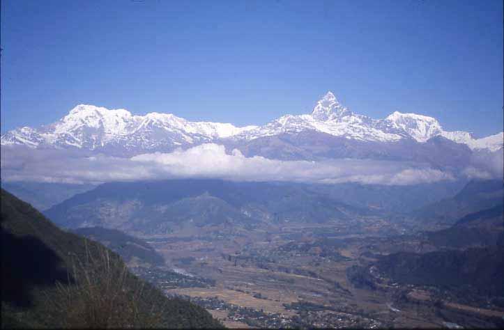 och med kunde ta sig uppfriskande simturer i. Endast hästar hade man i Pokhara ej ännu kommit på att berika tillvaron med. Mitt stamställe blev en liten enkel restaurang som hette Darjeeling.