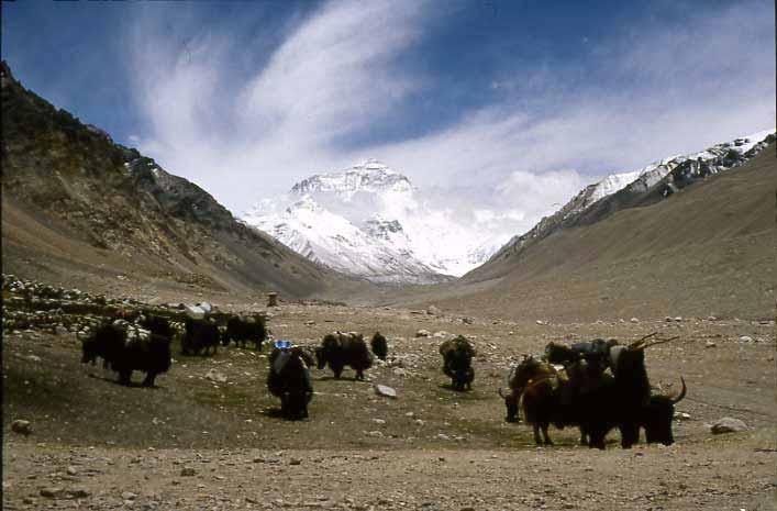 30.5. Klockan halv 8 steg alla upp för att få en förmånlig vy över Mount Everest. Kvart före 8 stod 16 fotografer med kameran i högsta hugg redo att fånga första bästa skymt av det nyckfulla berget.