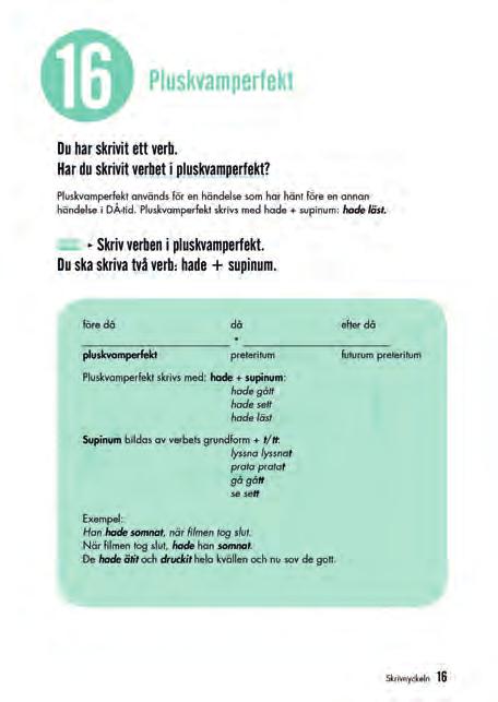 metaspråk med grammatiska termer utvecklas. Hela gruppens kunskap och resonerande tas tillvara och språket utvecklas på så sätt för hela gruppen.