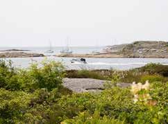 Styrsö På södra Styrsö har föreningen Stigfinnarna rustat upp ett helt nät av lättgångna stigar.