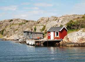 På öns norra del hittar du fågelsjön Musta och ovanför ligger Valen med utsikt över Göteborgs hamn SEVÄRT Rivö (1) Tvärs över Asperösund är Rivö belägen, ön som gett namn åt fjorden utanför.