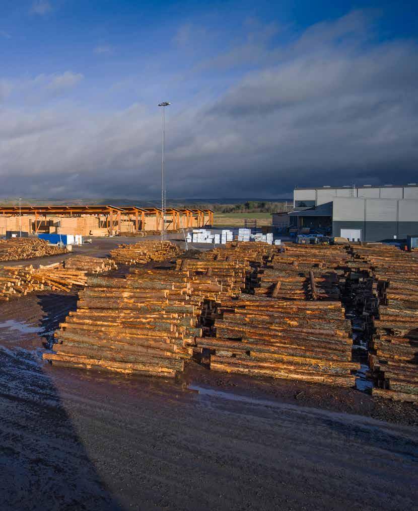 FAKTA: HOLMEN Holmen är en skogsindustrikoncern som tillverkar tryckpapper, kartong och sågade trävaror och som även är verksamma inom skogsbruk och energi.