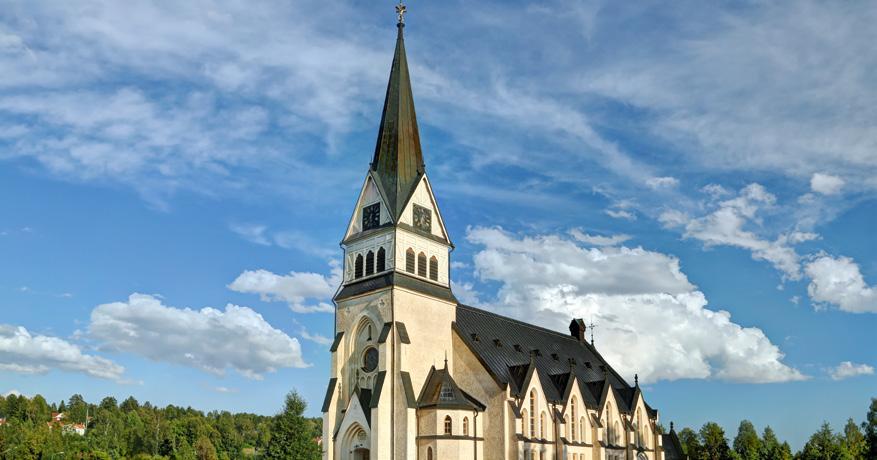 Vi anser också att skolor, förskolor och äldreboenden med fördel kan drivas av Svenska kyrkan.