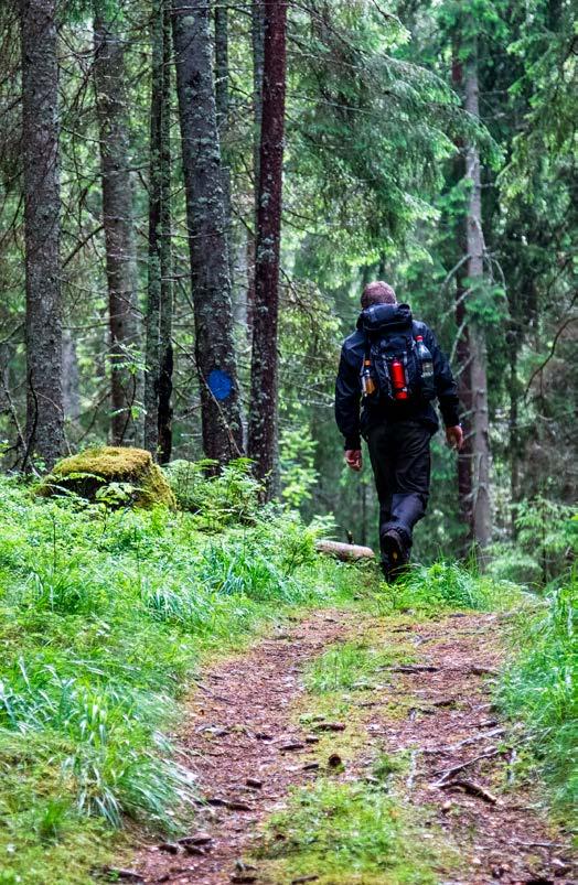 Jag tränar också en del och på vintern blir det mycket skridskor och skidåkning. Bild: Getty Images Hej Alf Berätta lite om ditt jobb och serviceverksamheten på regionen.