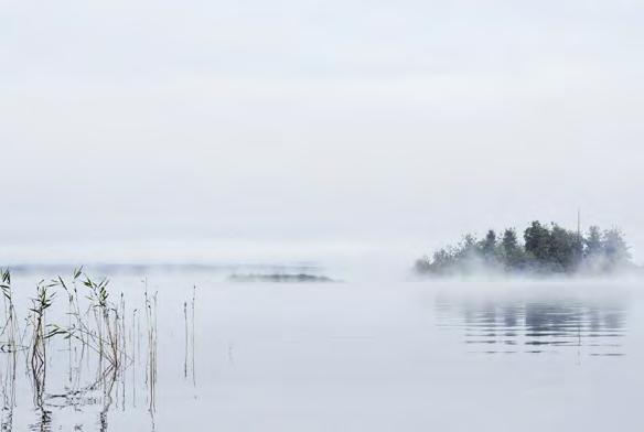 NATURUTFLYKTER GUNNARSKOGSLEDEN 21 KM Gunnarskog Den orangemärkta vandringsleden utgår från Larstomta i Gunnarskog.