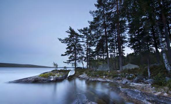 Från Mörttjärn 2 km till kolarkojor, med möjlighet till övernattning. This 21 km trail, marked in orange, starts at Larstomta in Gunnarskog.