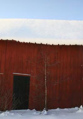 VINTER Im Winter werden Langlaufloipen (z.t. beleuchtet) von unterschiedlicher Länge präpariert. Naturschöne Loipen verlaufen u. a. bei Byamossarna und Vassvika.