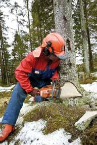 >> NATURBRUKSPROGRAMMET LÄS MER PÅ SKOLORNAS WEBBPLATSER NATURBRUKSSKOLAN SVENLJUNGA SKOG IMPRO=Programinriktat individuellt val och yrkesintroduktion i mån av plats Du kan välja att läsa