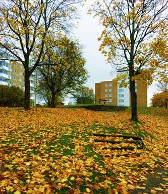 Det finns parker av olika karaktär. Medan Mariebergsskogen är som ett strövområde, är Stadsträdgården en klassisk stadspark till karaktären.