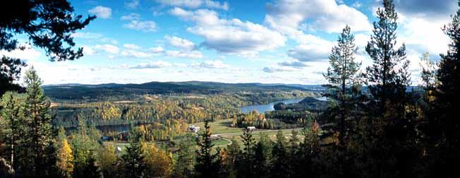 De första ångsågarna utmed älven anlades i början av 1850-talet. Skogen och vattenkraften utgör än i dag huvud näringarna i Ådalen. I Ångermanälvens dalgång i Västernorrland ligger Ådalen.