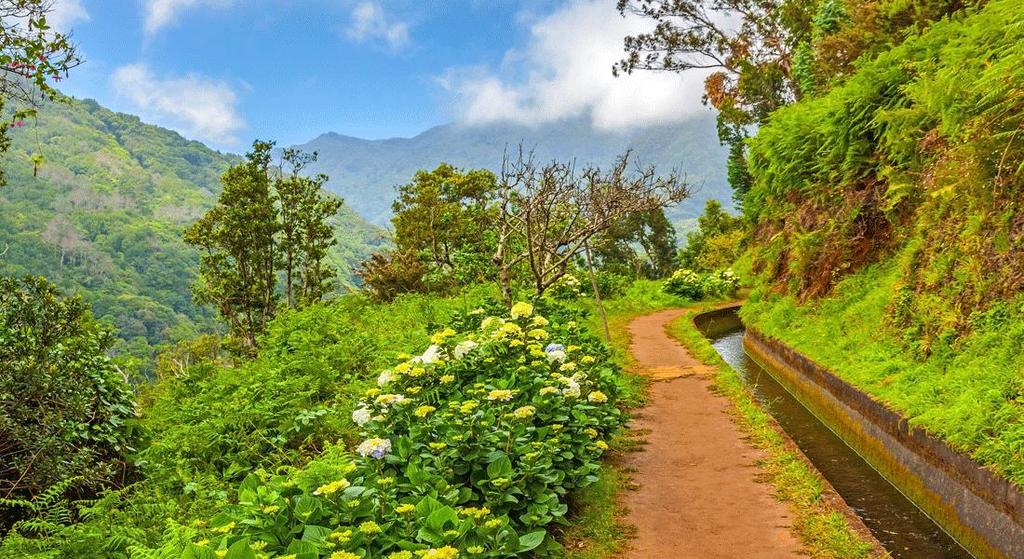 Levadavandring på Madeira Madeira är vandringsresornas mecka och det allra bästa sättet att få med sig öns vilda, vackra natur är genom att vandra längs med levadorna.
