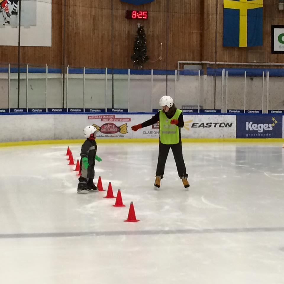 UTGIVEN AV FRILUFTSFRÄMJANDET GOTLANDS LOKALAVDELNING nr 1/2017