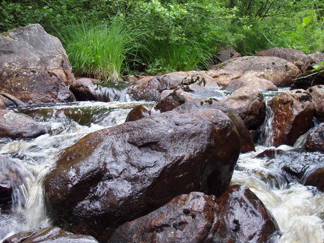 alternativ naturlig fåra. Åtgärd: Ingen åtgärd Foto 2. Vandringshinder 3. Gunnbo kvarn, naturligt. Nr 4.