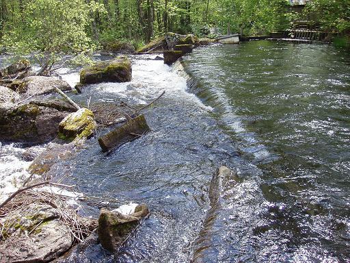 Foto 23. Vattendelare/avskiljare i kvillområdet, Torestorpsån. Vid lågvattenföring styrs vattnet till kraftverksfåran i den övre delen av bilden. Foto 24.