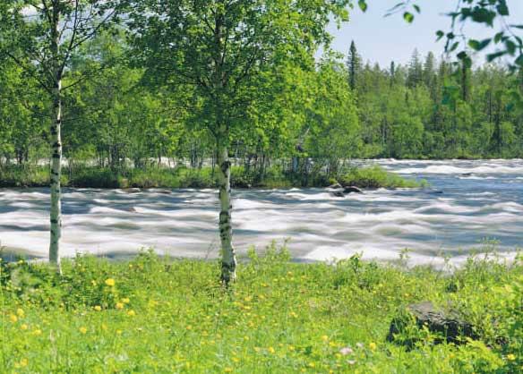 Marknadsvärde, Mkr 26 22 Bruttoförsäljning, Mkr 3 2 Antal kunder 800 900 Livförsäkring Premieinkomst, Mkr 98 123 Totalt försäkringskapital, Mkr 1 409 1 466 Antal kunder 14 000 13 000 Sakförsäkring