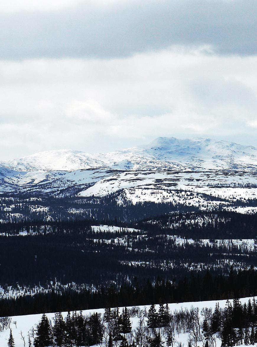 Tack till Åre