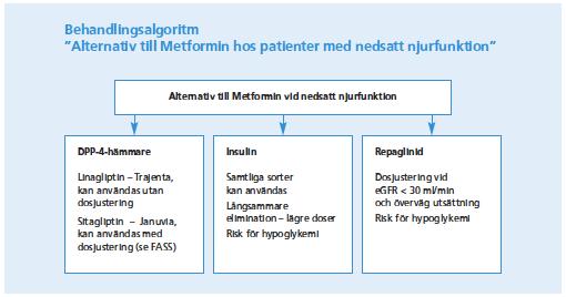 Diareg 2016 3