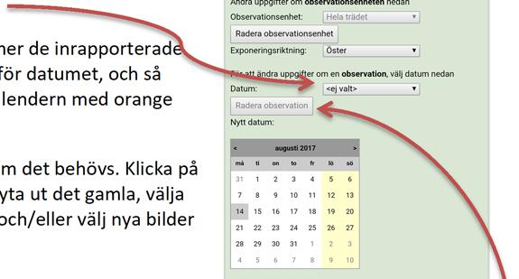 - Så fort du har valt ett datum, kommer de inrapporterade uppgifterna att visas i fälten nedanför datumet, och så markeras observationsdatumet i kalendern med orange