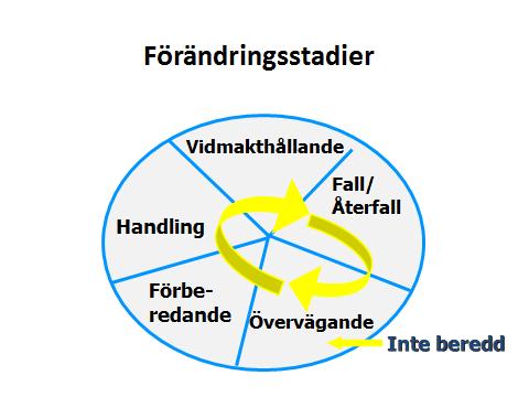 35 (40) Vilket är din högsta siffra? Den fas som fått högst siffra visar hur förändringsbenägen eller motiverad du är just nu.