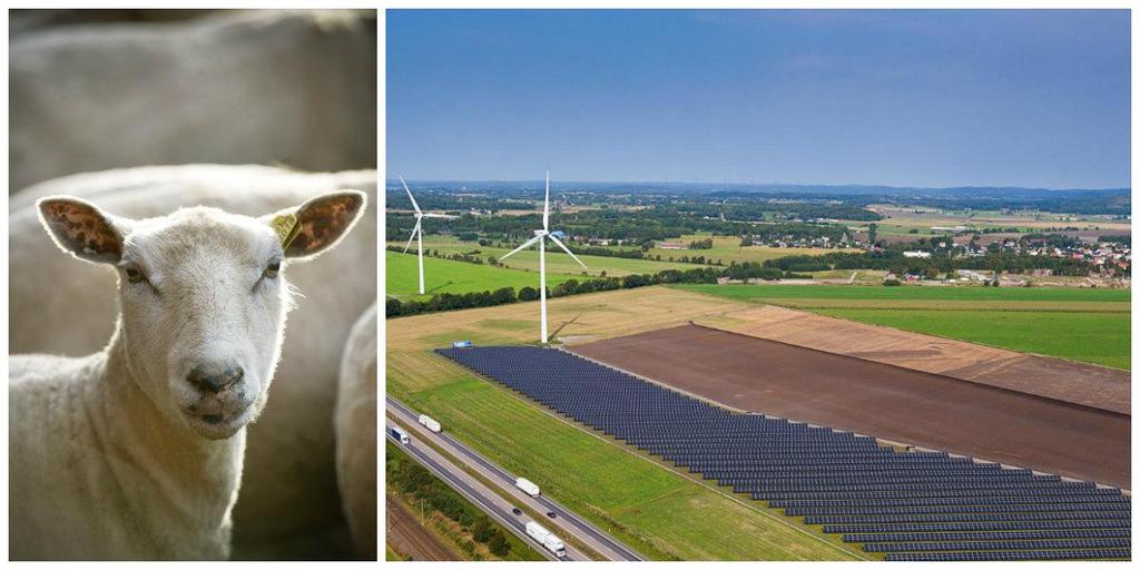 Invest eringskost nad St örre anläggning Billigas te och s törs ta s olcells anläggningen i Sverige 2,7 MW i Varberg, i drift juni 2016 24
