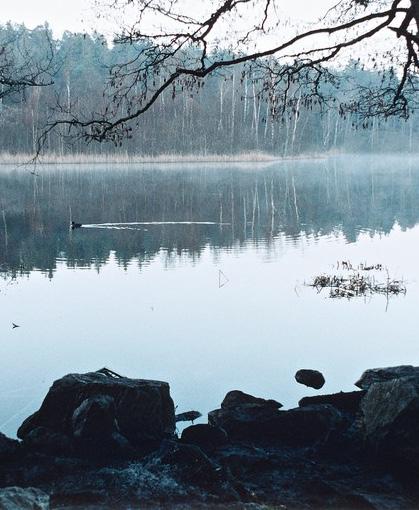 Tips på en lyckad cirkel Uppmuntra att olika åsikter, perspektiv och synpunkter på ämnet förs fram så att alla ståndpunkter blir synliga. Det fördjupar diskussionen och gör den mer intressant.