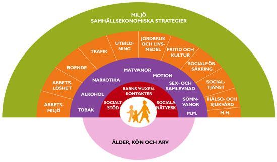 Modellen nedan illustrerar vilka faktorer som påverkar och bestämmer folkhälsan.