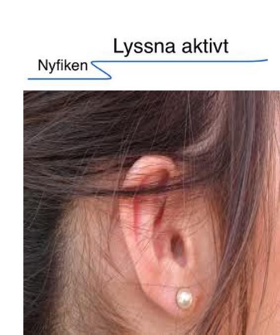 Att lyssna aktivt!