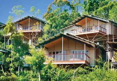 Lamington National Park är otvivelaktigt en av Australiens vackraste nationalparker med en stor variation av växt- och djurliv.