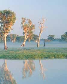 Northern Territory - Australien Tiwi Islands DARWIN Litchfield National Park Kakadu National Park Jabiru Katherine Mataranka NORTHERN TERRITORY Tennant Creek Karlu Karlu (Devils Marbles) CAIRNS GREAT