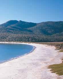 Tasmanien - Australien DARWIN NORTHERN TERRITORY CAIRNS GREAT BARRIER REEF QUEENSLAND WESTERN AUSTRALIA SOUTH AUSTRALIA BRISBANE NEW SOUTH WALES PERTH ADELAIDE SYDNEY CANBERRA VICTORIA MELBOURNE