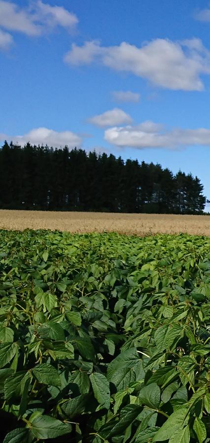 Vi har den kompetens du behöver! Har dina medarbetare rätt kompetens för att möta de krav som ställs? En målmedveten satsning på utbildning är en bra investering för framtiden!