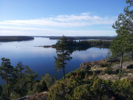 Friluftsliv (FROFRI5) Genom undervisningen i ämnet fritid och friskvård ska eleven ges förutsättningar att utveckla följande: Kunskaper om olika fritids- och friskvårdsaktiviteter.