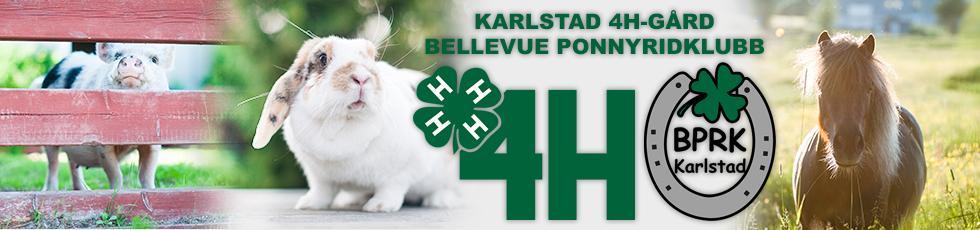 SÄKERHETSPOLICY FÖR KARLSTAD 4H-GÅRD/ BELLEVUE PONNYRIDKLUBB För att hålla en hög säkerhetsnivå med lägsta tillbudsfrekvens och lägsta möjliga skada på individ och egendom, ställs stora krav på att