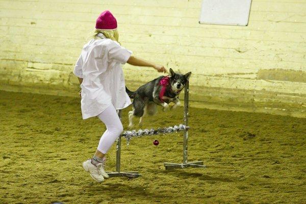 2 Ponnyridningar Fyra ponnyridningar har vi åkt ut på, Leksands vinterfestival, barnens valborg, idrottens dag och vid invigning av resecentrum.
