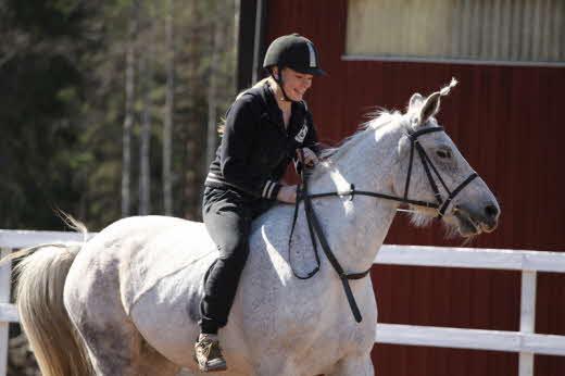 Årsredovisning 2012 Sida 7 