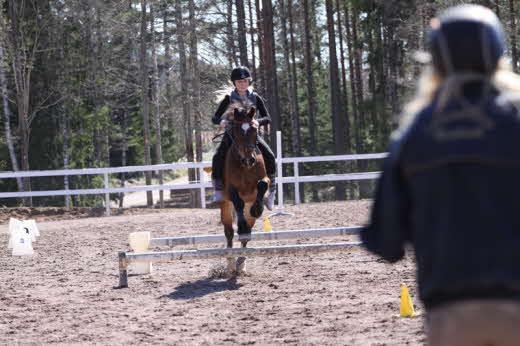 5 Vi i stallet I år fick vi ihop ett lag till tävlingen vi i stallet, årets