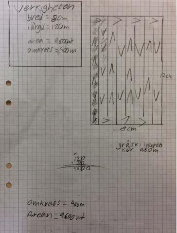 Uppdraget gick ut på att man skulle ha en lego mindstorm robot och med den skulle man programmera så att den klipper en gräsmatta som hade