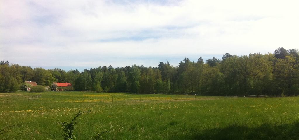 FÖRUTSÄTTNINGAR, FÖRÄNDRINGAR OCH KONSEKVENSER Vidare planeras en upprustning av badplatsen och klippbadet på området, för vilka strandskyddspispens kommer att sökas.