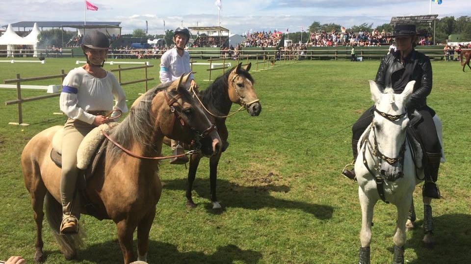 Paso Peruano, Paso Fino och Rocky Mountain Horse Vi har två stycken Paso Peruano Opus och Noble. Noble (född 2011) och Opus (född sent 2010) är halvbröder och kom båda till Ösjönäs i början av 2013.